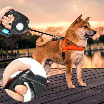 "Active Dog" Travel Kit