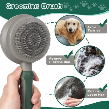 Clean and Groomed